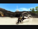 【MHF】2年目武器 アカムスクウィード