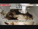 【閲覧注意】 ー ドロドロ ユニットバス ー 【特殊清掃】