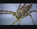 [閲覧注意!!] マレーシア産アシダカグモにゴキブリを与えてみた。(Heteropoda boiei)