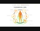 cbd health benefits
