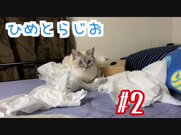 ひめとらじお＃2