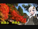 【四輪車載】嵐山・高雄パークウェイ走ってきた【ゆかマキあかり】