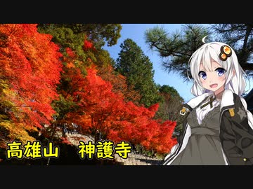 【四輪車載】嵐山・高雄パークウェイ走ってきた【ゆかマキあかり】