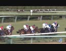 【競馬】 第71回 朝日杯フューチュリティステークス (G1) 2019
