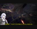強肉弱食(IB)17(回復薬縛り)