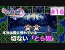 こっそりトラから猫の被り物に着替えて「にゃ〜」とか言ってみたりするのかな…涙【ドラクエ11s2D#1６】サマディー〜ダーハルーネ散策＋オグイお見舞い＋シルバー杯「むずかしい」に挑戦。