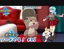 【実況】ポケモン剣盾やる！【35】
