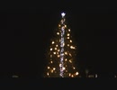 はこだてクリスマスファンタジー2019　ツリー点灯式