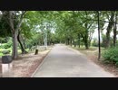 KOTOさんぽ｜京都市下京区梅小路公園