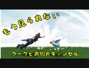 【MHF-Z】もう見られないグークとのお別れキャンセルムービー