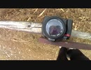 Nikon D７０ ジーコの生シャッター音
