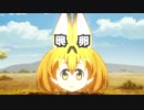 Serval from the far Savannah to drink water