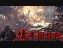 【MHWIB】取り締まりに気合入りすぎて言語化できない　【モンスターハンターワールドアイスボーン】