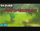 【続編決定記念】のんびりと伝説「ゼルダの伝説～ブレスオブザワイルド～」　＃26