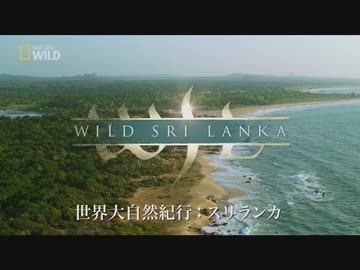スリランカのフレンズ「沿岸の巨人」