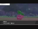 軽い縛りと初見でポケットモンスターソード＆シールド【剣編】part6。
