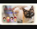 【Shing-a-ling!】またあした【Fuwa✱Fuyu】