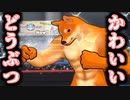 どこかで見たことのある動物たちが暴れる格闘ゲーム『Fight of Animals』