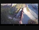 7X2019 16.52 20.20