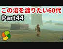 【実況】今年で定年を迎える父をハイラルの大地に放り込むPart44【ゼルダの伝説BotW】