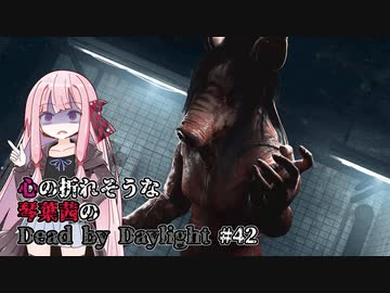 心の折れそうな琴葉茜のDbd その42