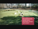 Great American Green Turf in Roswell, GA