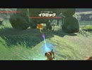 依頼を受けて、コログの鉄球をもぎとってみた