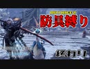 【MHW:IB】愛しの君とこの世のはたて  【防具縛り】part Last