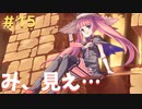 【Rabi-Ribi】バニーガールwith弾幕アクション＃１５【実況】