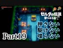 求むー「ゼル伝」のプロー【ゼルダの伝説　夢をみる島】 part19