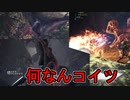 【実況】独りで狩りつくすMHWI [part7]
