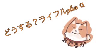 どうする？ライフルplus α
