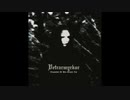 Vetrarmyrkur — A Misanthropic Vision (人道的ビジョン) (オリジナルサウンド2013) 生のブラックメタル