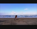 I'll kill you X JAPAN　弾いてみたおかま