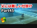 【実況】今年で定年を迎える父をハイラルの大地に放り込むPart45【ゼルダの伝説BotW】