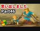 【実況】今年で定年を迎える父をハイラルの大地に放り込むPart46【ゼルダの伝説BotW】