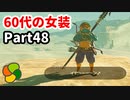 【実況】今年で定年を迎える父をハイラルの大地に放り込むPart48【ゼルダの伝説BotW】