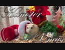 ハムスタークリスマス