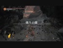 自称経験者と初見のぶらり不死の旅37