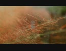 noo - 放熱