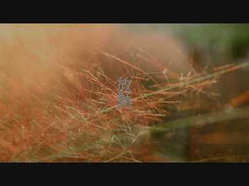 noo - 放熱