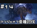 【実況】さぁ狩りの時間だ【MH:W IB】14日目