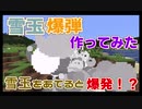 【マイクラ解説】当たると爆発！？「雪玉爆弾」を作ってみた！　コマンド一つだけ！【作ってみた】