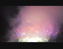 【2019】あしかがほほ笑み花火