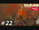 【実況】ウルリンといっしょ＃22｢ペットの躾は大事｣【BotW】