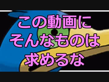 テスト動画
