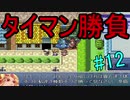 【記憶　第２幕】　視聴者様から頂いたゲームを実況プレイ Part 12