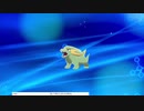 軽い縛りと初見でポケットモンスターソード＆シールド【盾編】part24。