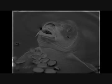 ペットと一緒に羊の水実況プレイ Part3