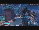 素材の味を楽しむ手抜き動画でPaladins Part9